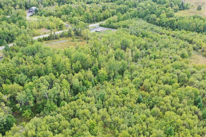 Lot 19 Acres+- Wallace Road — photo 1
