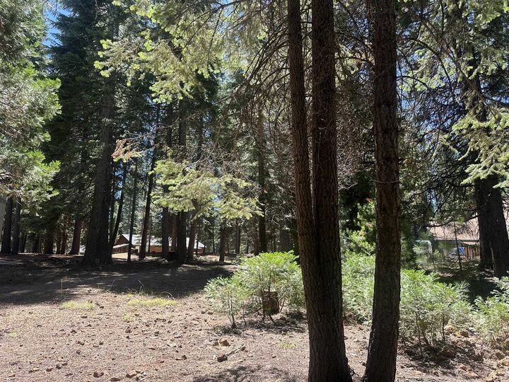 Property Photo: 324 Manzanita Drive CA 96020