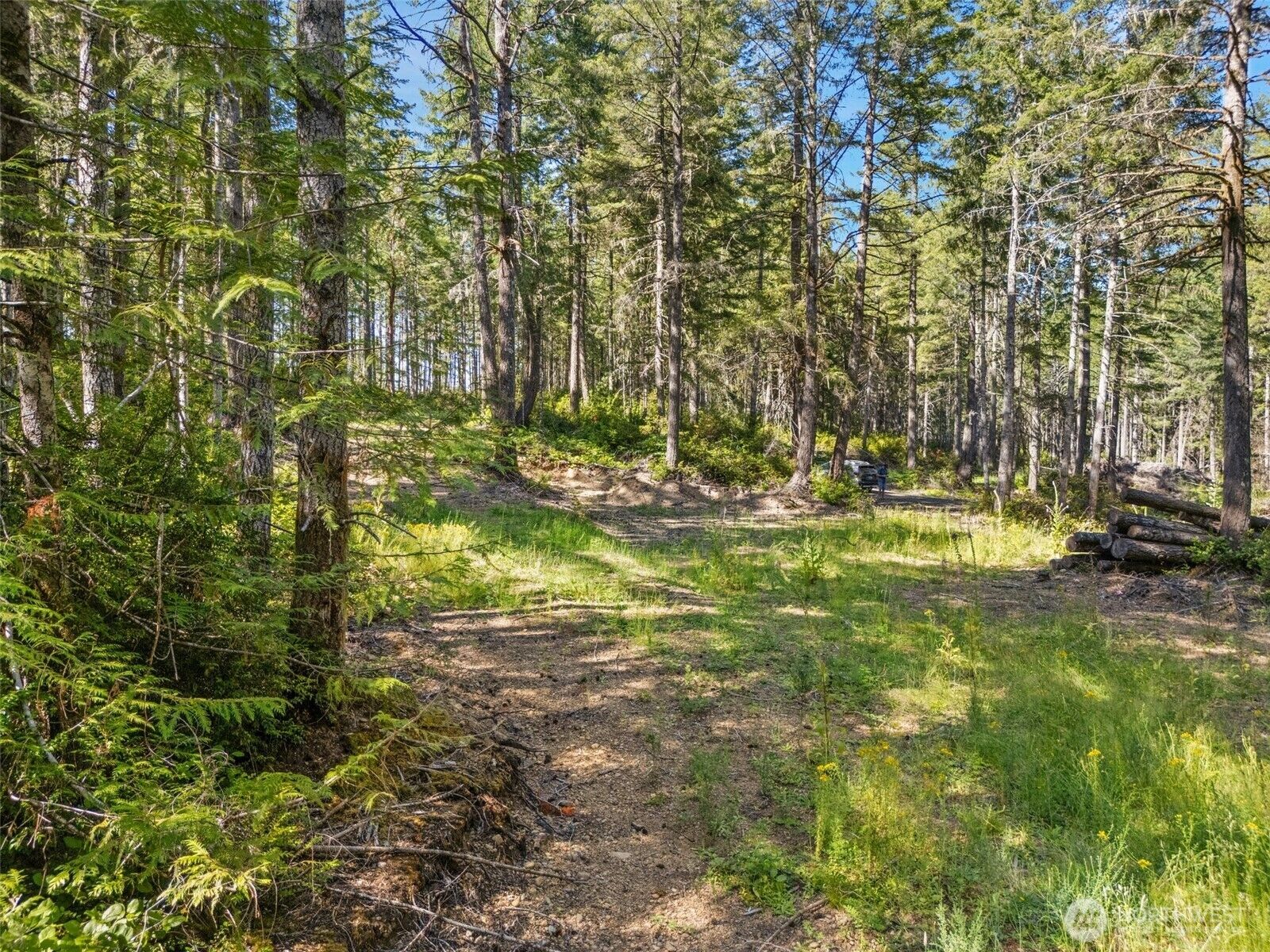 Property Photo: 0 Tr4 E Mason Lake Road WA 98546