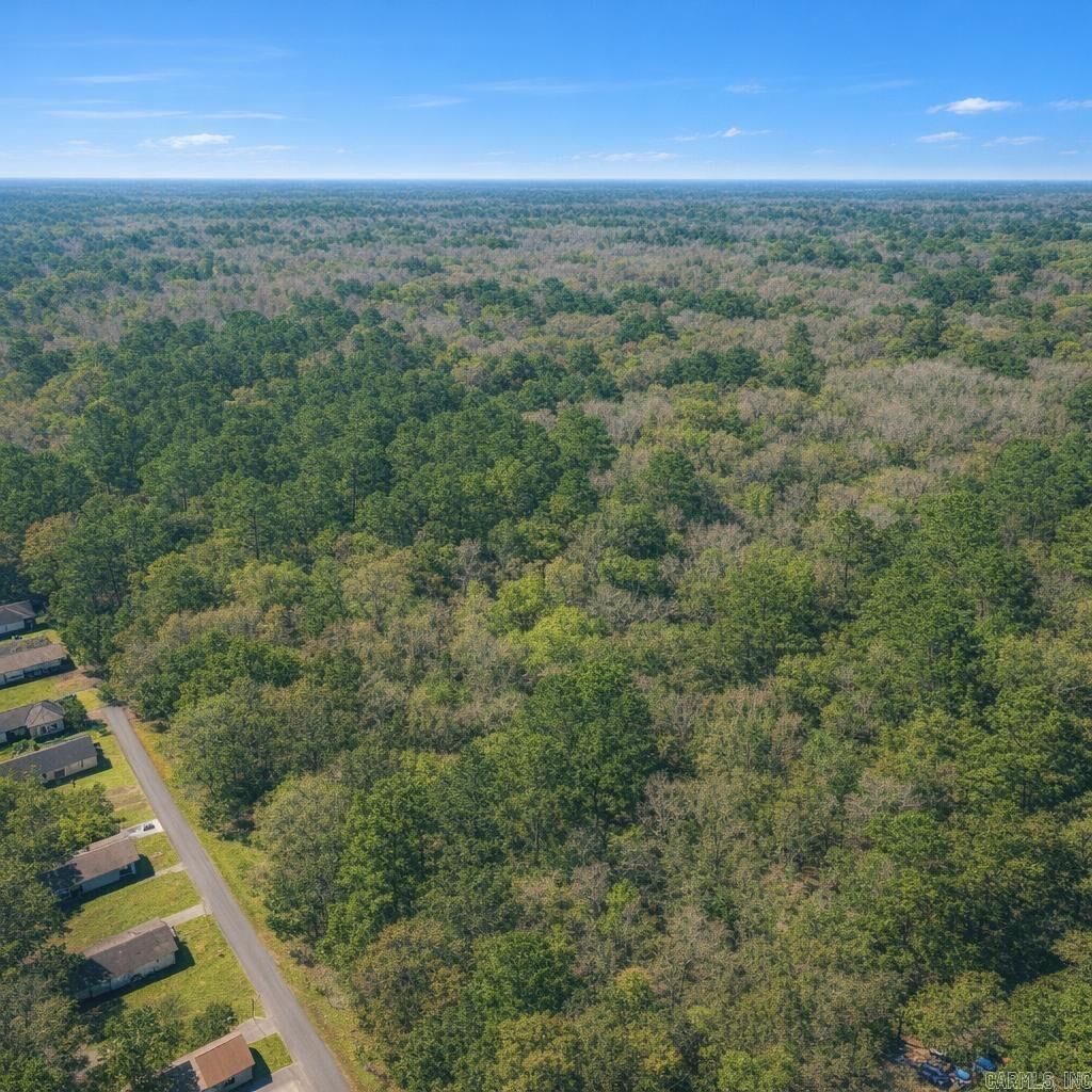 Property Photo:  Tbd S. Hemlock St  AR 71603 