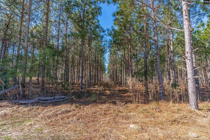 Property Photo:  Lot 3 Fairview 008200-07-010  SC 29006 