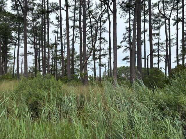 Property Photo:  0 Ridge Rd  VA 23308 