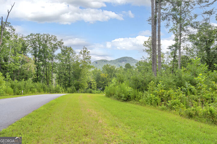 Property Photo:  Lot 73 Leisure Mountain Trail  GA 30571 