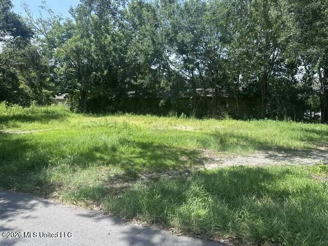 Property Photo: 15162 Tyler Street MS 39501
