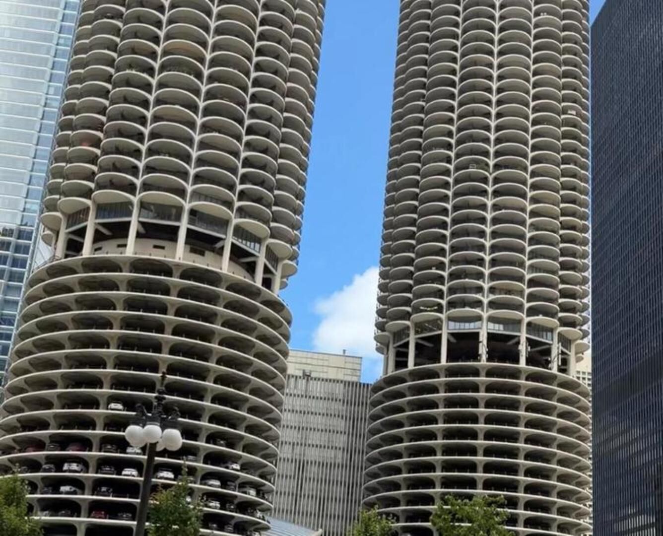 Property Photo:  300 N State Street 4135  IL 60654 