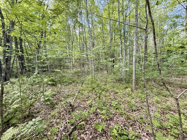 Property Photo: 0 W Washington Road ME 04574