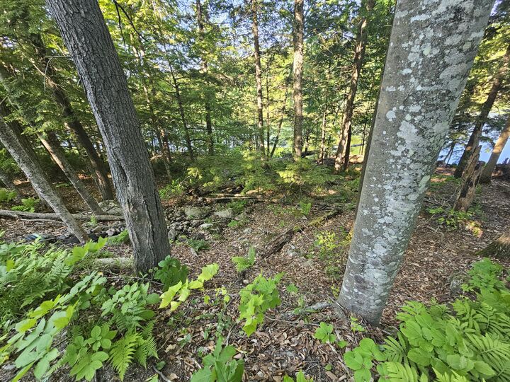 Property Photo:  PO-L5,6,9G Great Moose Drive  ME 04493 