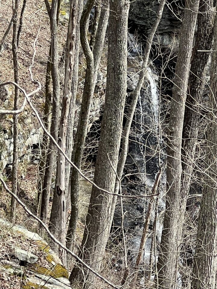 Property Photo: 4441 Deer Run Road TN 37301