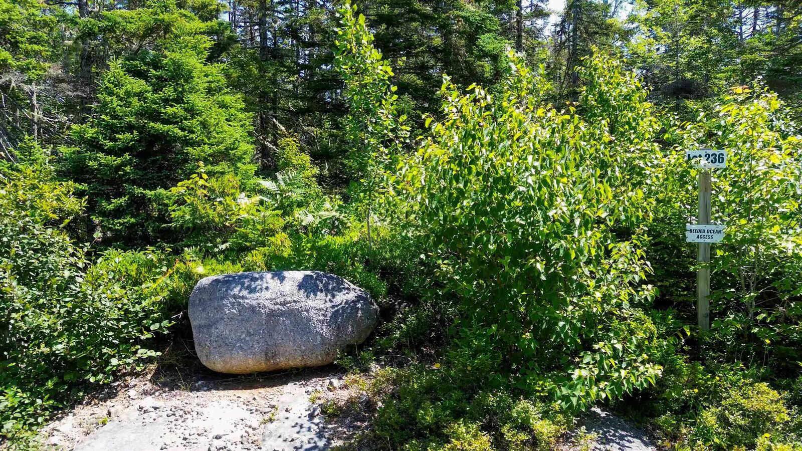 Property Photo:  14 Crown Road  NS B3Z 4C1 