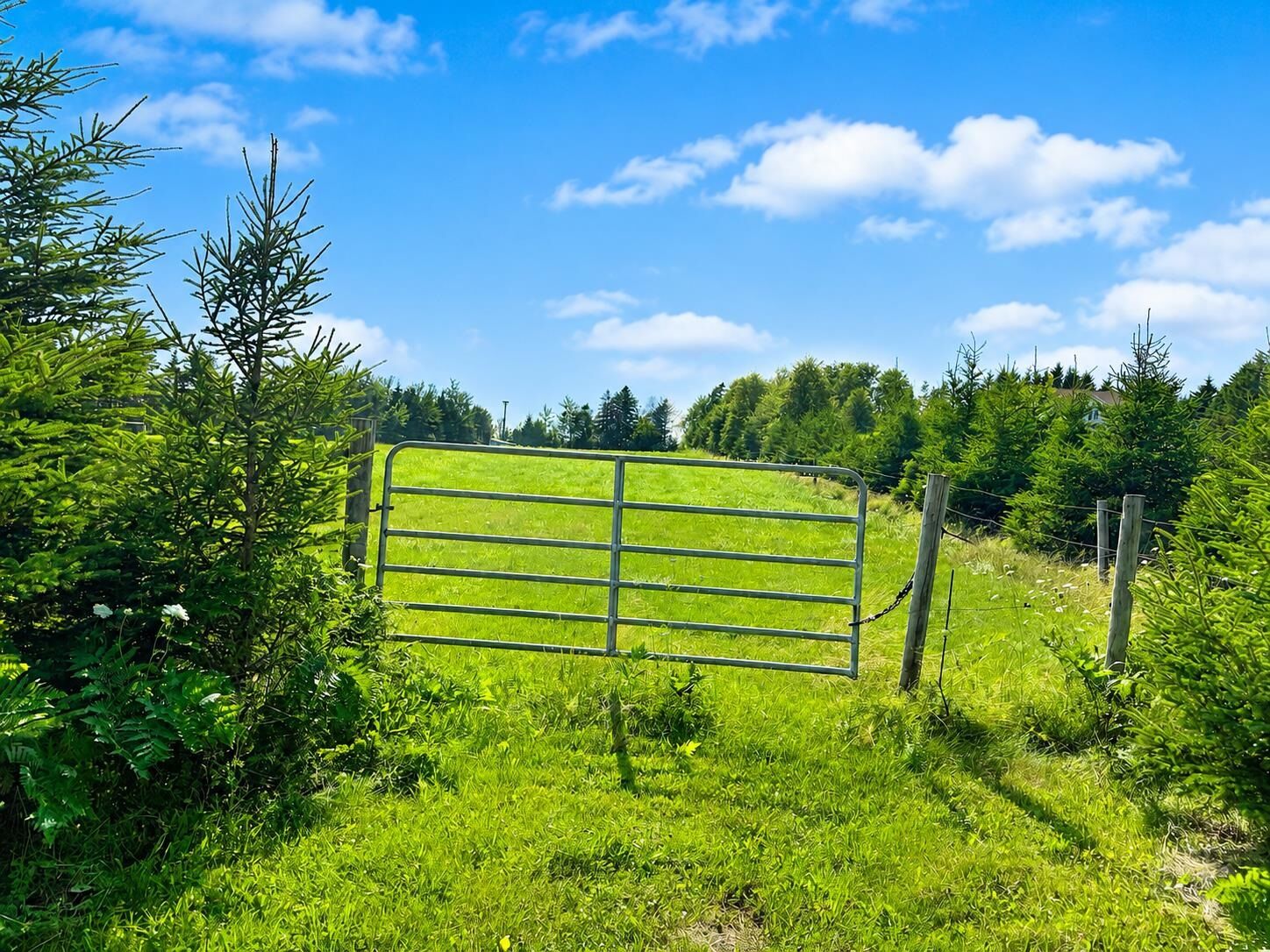 Property Photo: Lot 2.37 Ac St Patricks Road PE C0A 1N0