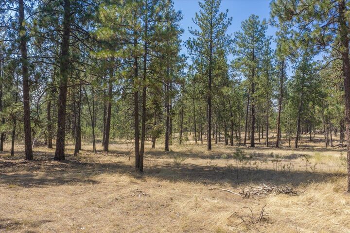 Property Photo: 1110 1/2 S Brooks Rd (Land Parcel) WA 99022