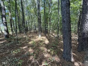 Property Photo:  1 Massengill Pond Road  NC 27501 