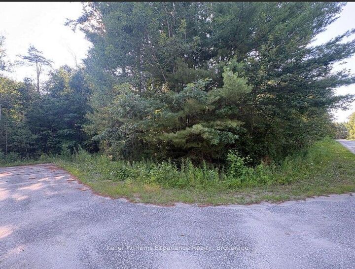 Property Photo:  Pt 7 On Pl 51R32735 Rue Karola N/A  ON L0L 2J0 