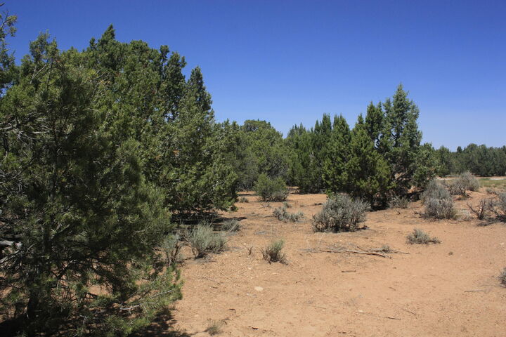 Property Photo: 17729 W Harmony Ln UT 84720