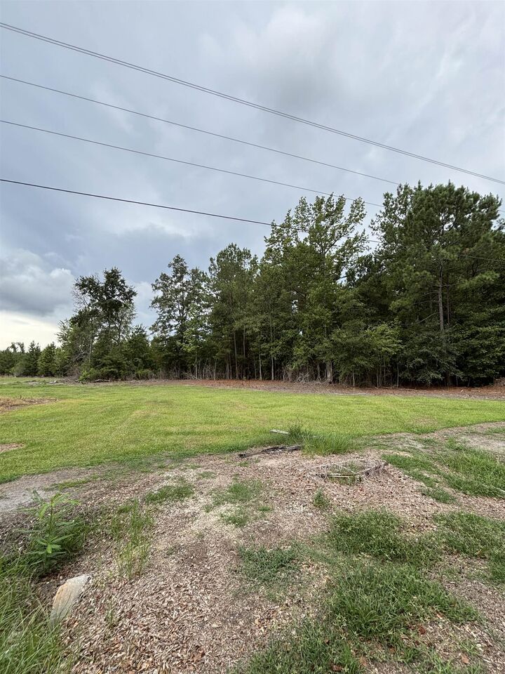 Property Photo:  Tbd Third St.  SC 29564 