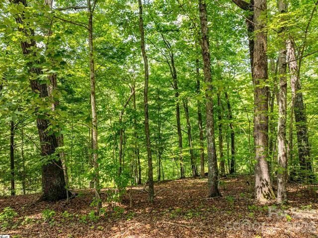Property Photo: 67 Wildflower Lane SC 29690