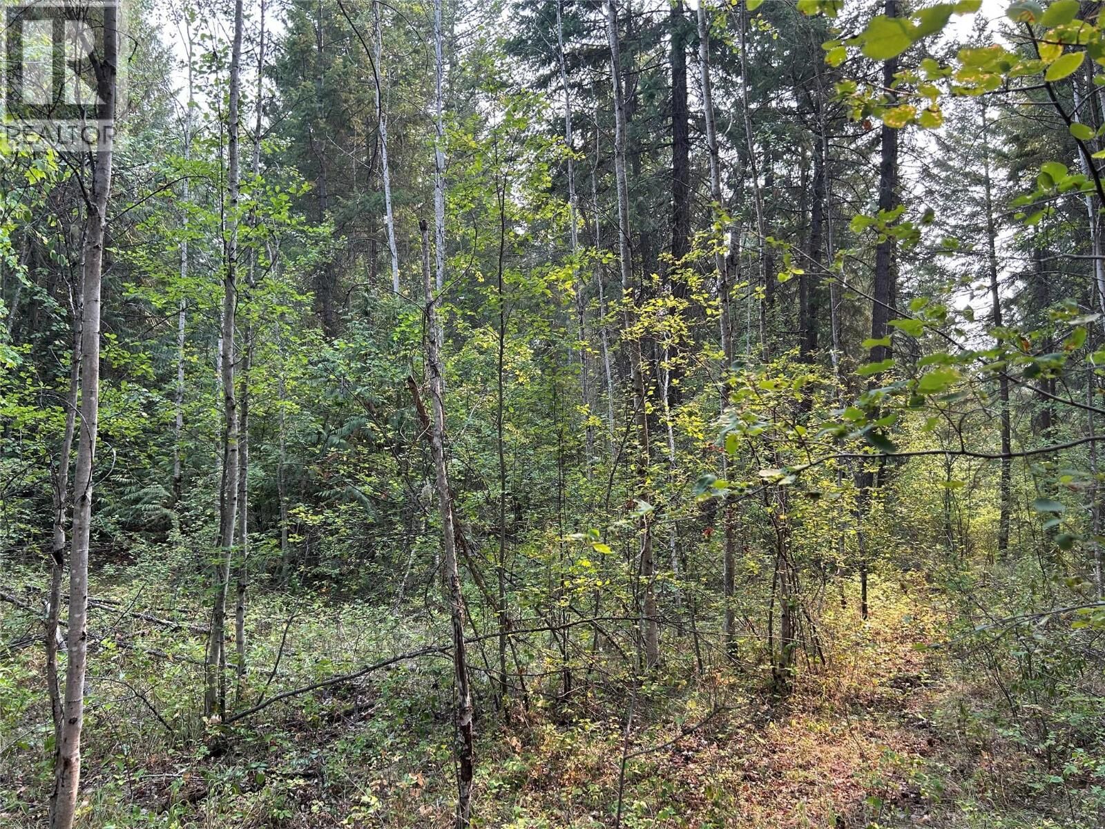 Property Photo:  8568 Black Mountain Road  BC V0E 1M0 