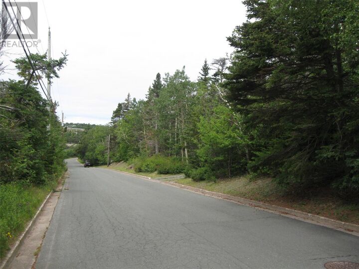 Property Photo:  53 A Lawrence Pond Road East  NL A1X 4C6 
