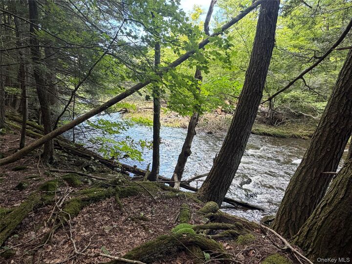 Property Photo:  0 Laurie Lane  NY 12413 