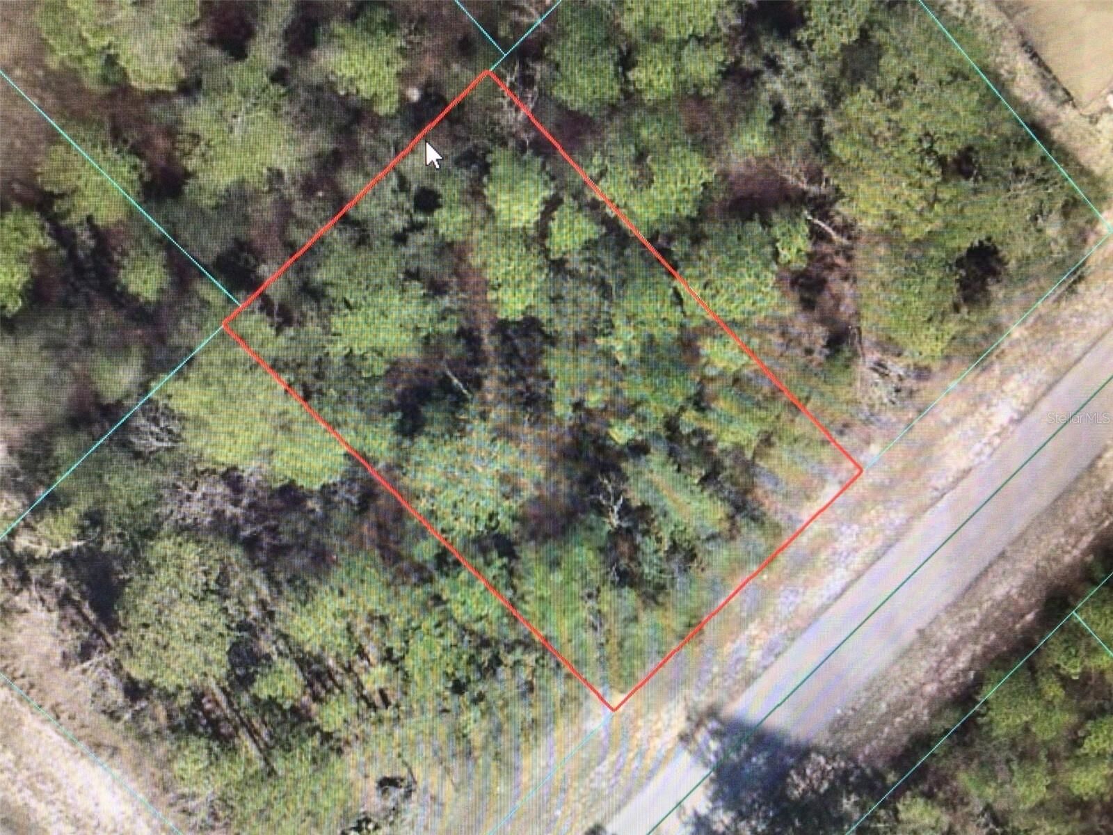 Property Photo: 0 SW 66 Avenue Road FL 34473