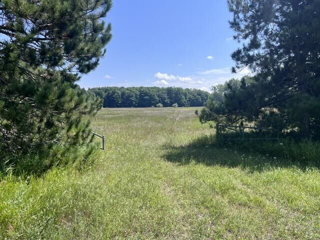 Property Photo: 14.7 Acres Erdman Road MI 49614