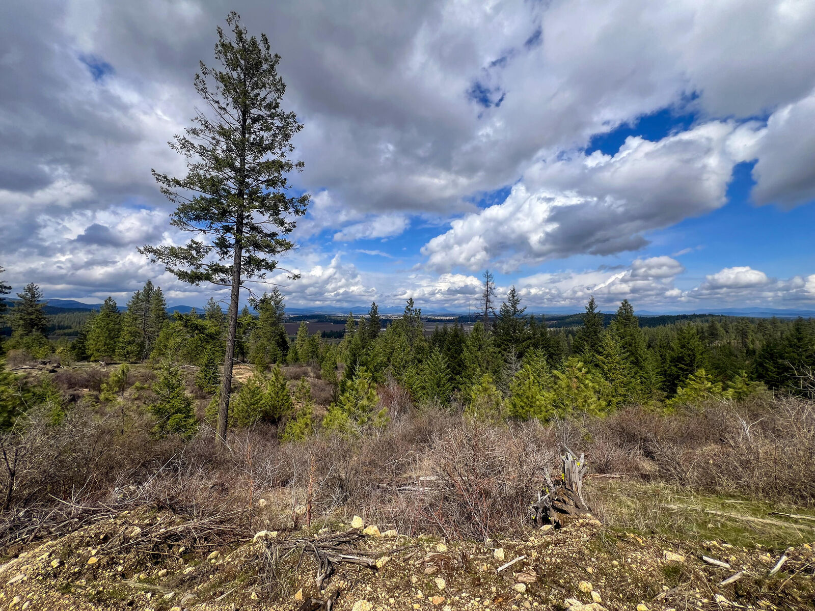 Property Photo:  52xx S Lot 8 Swenson Rd  WA 99006 
