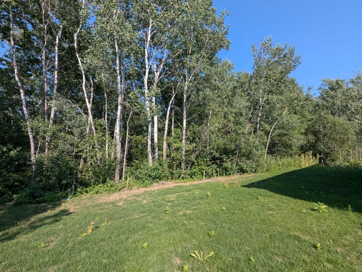 Property Photo:  12994 10th Avenue N  MN 55398 