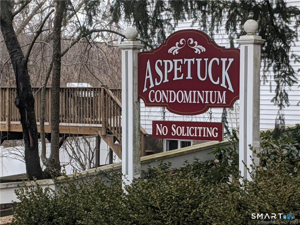 Property Photo:  142 Aspetuck Village 142  CT 06776 