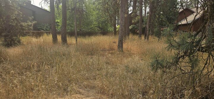 Property Photo:  Xxxx S Madelia St  WA 99223 