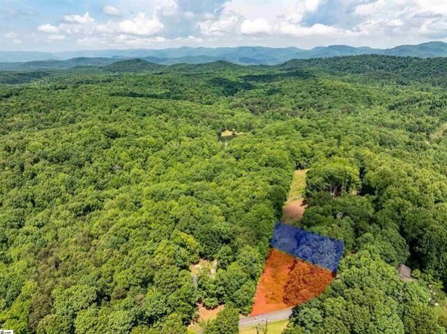 Property Photo:  67 &Amp 68 Wildflower Lane ***  SC 29690 