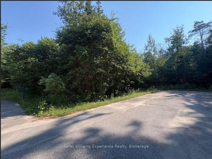 Photo de la propriété:  Pts1,2,3,4,5,6&Amp751r35480 Rue Karola N/A  ON L0L 2J0 