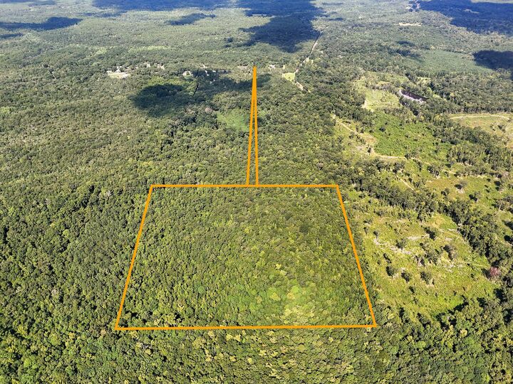 Property Photo: 40 Acres Mossy Bend Road FL 32455