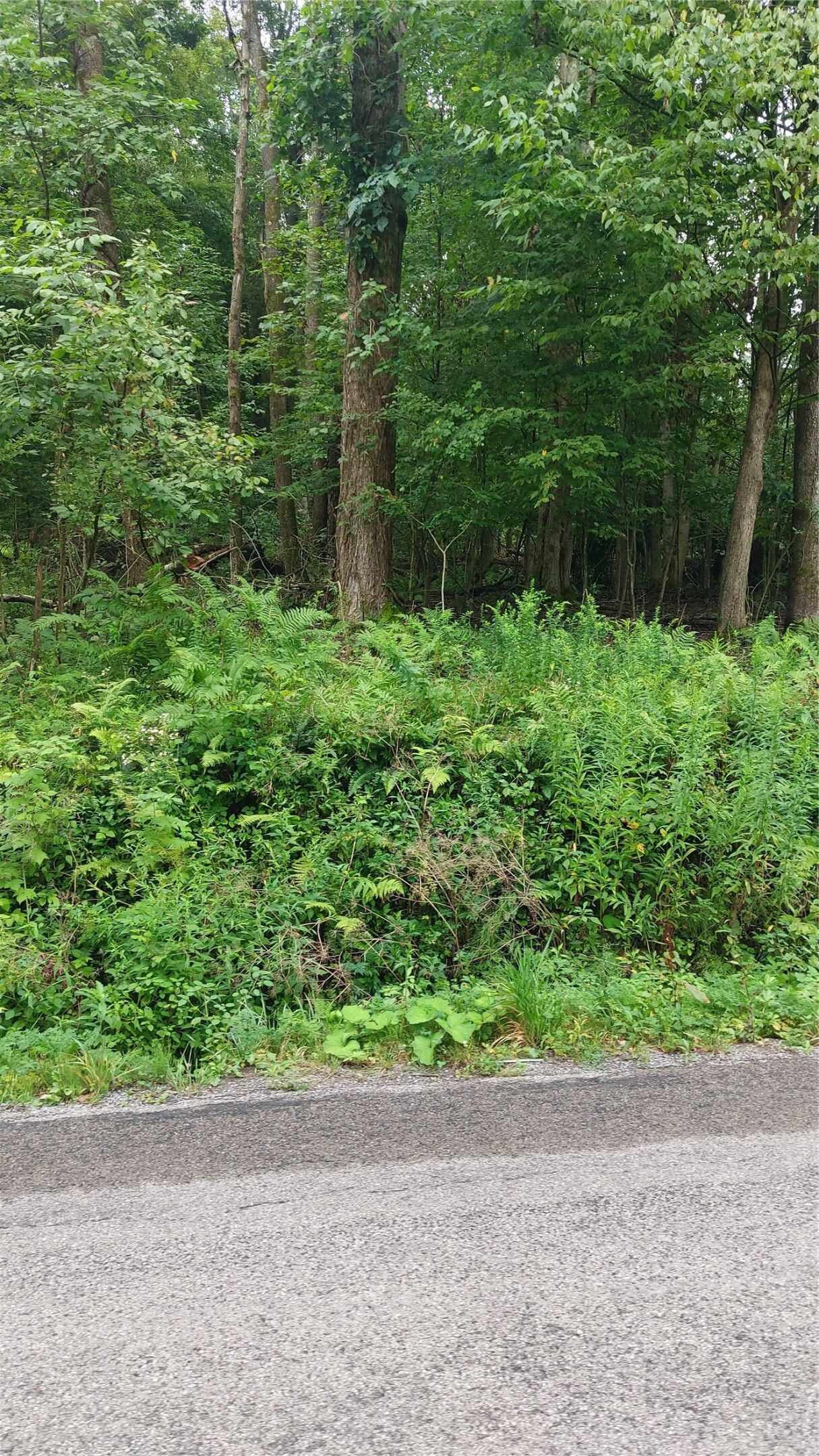 Property Photo: 00 Lake Creek Road PA 16314