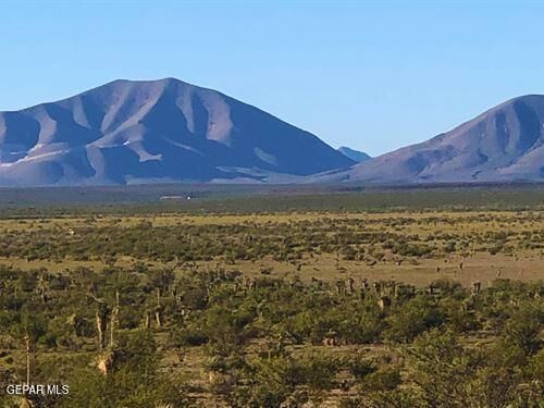 Property Photo: Tbd Pn55383 22 Sec7 Rpt #2 Lot1 Road TX 79851