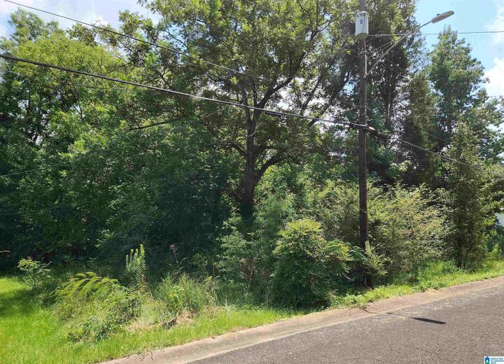 Property Photo: 307 2nd Avenue . AL 35118