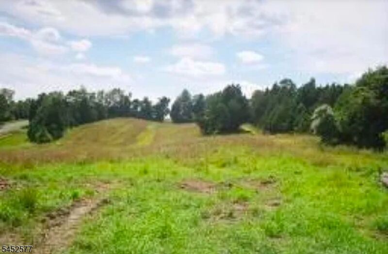 Property Photo: 41 River View Dr NJ 07825