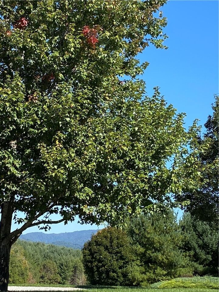 Property Photo:  Lot 23 Bear Den Road  NC 28675 
