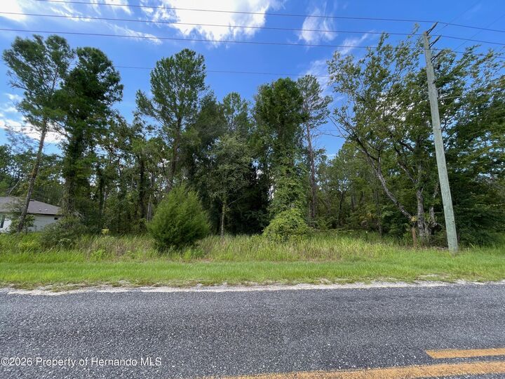 Property Photo: 0 Thrasher Avenue FL 34614