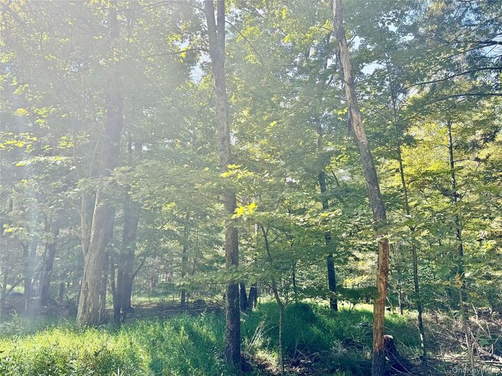 Property Photo: 5 Trails NY 12729