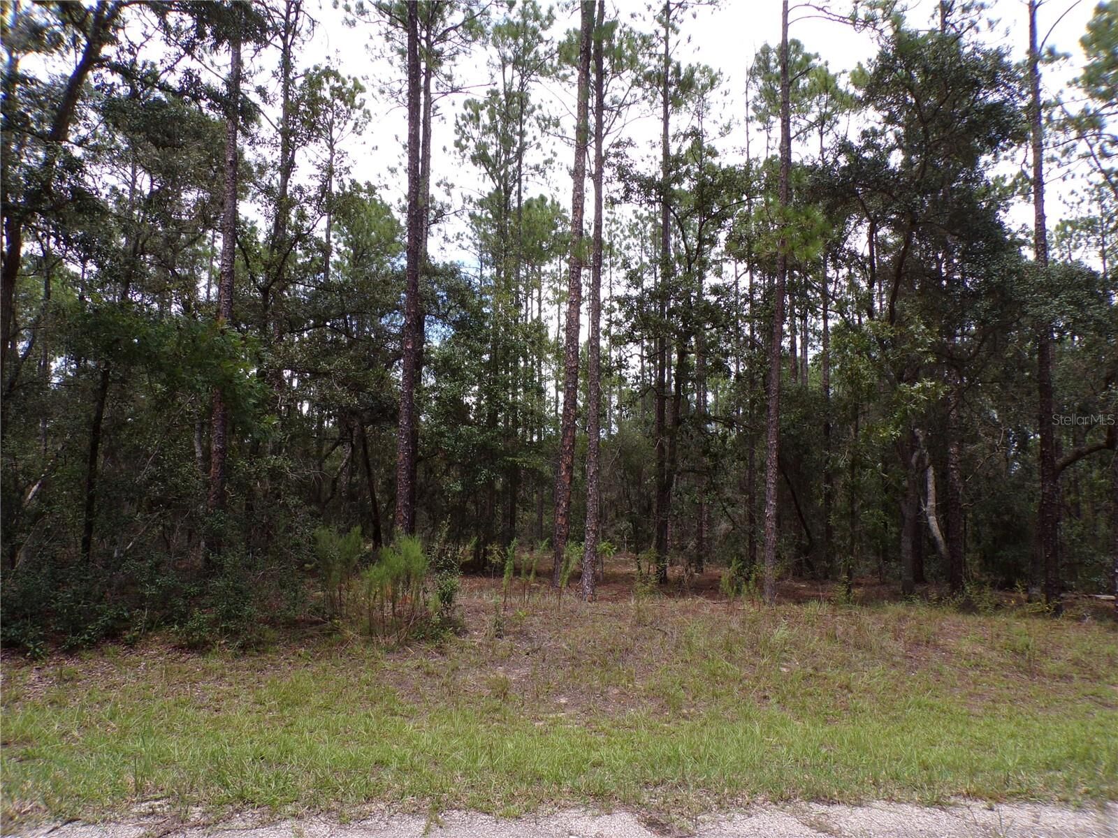 Property Photo: 601 E Marquette Lane FL 34434