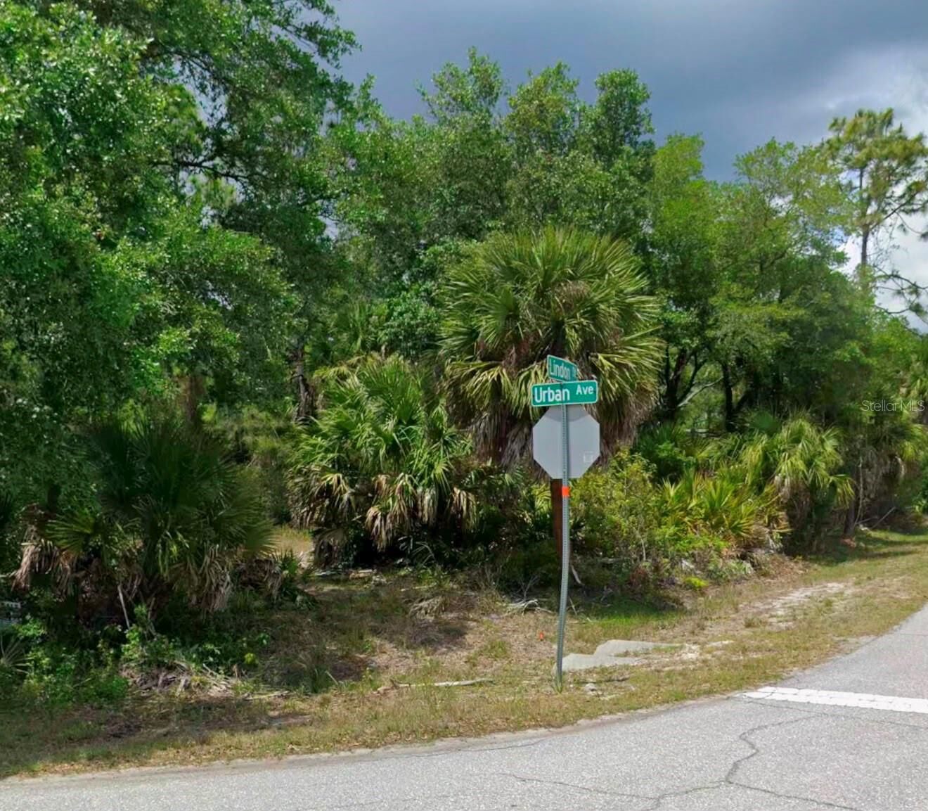 Property Photo: 17212 Urban Avenue FL 33954