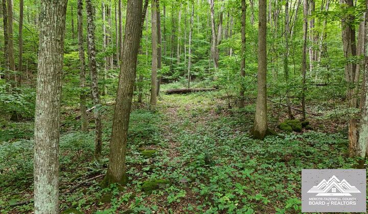Property Photo:  900 Hayes Valley Rd.  WV 24739 