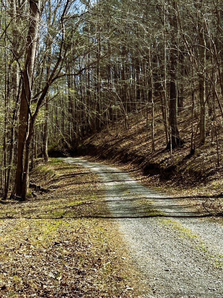 Property Photo: 0 Owl Hollow Rd SW TN 37353
