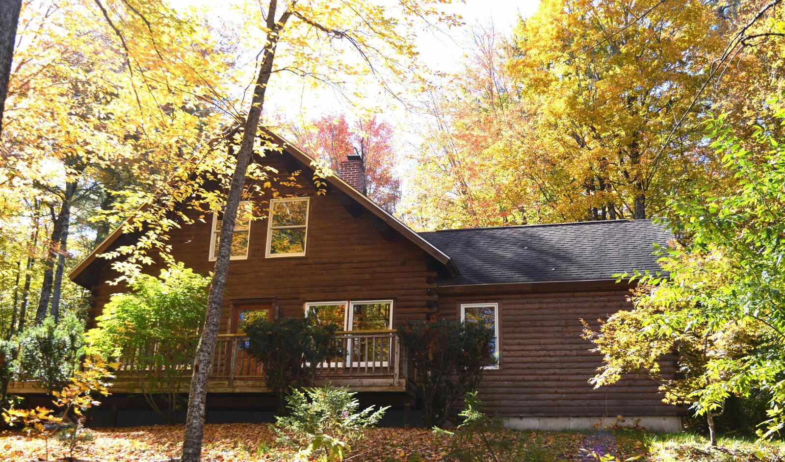 Property Photo:  294 Forest Acres Road  NH 03257 