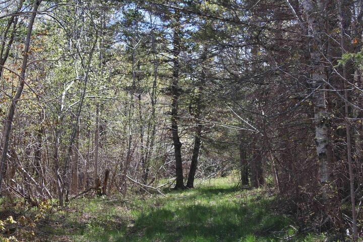 Property Photo:  Highway 1  NS B0S 1E0 
