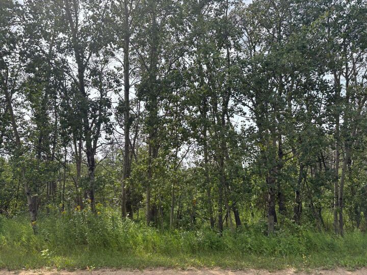 Property Photo:  22113 Twp Rd 440 324  AB T0B 1M0 
