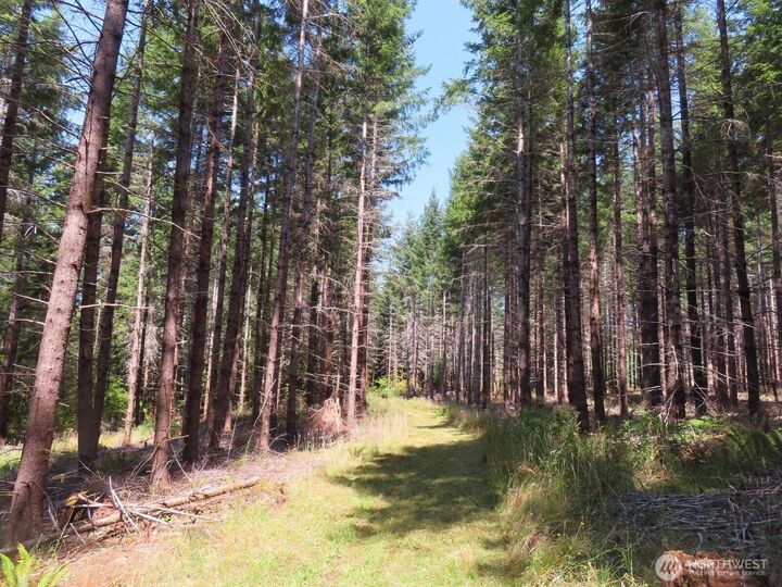 Property Photo:  0 Xxx  Chandler Road  WA 98572 
