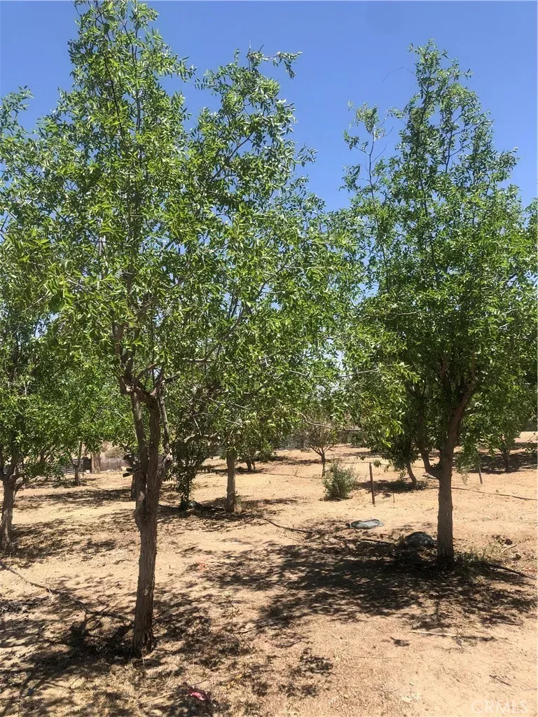 Property Photo: 32726 Agate CA 92356