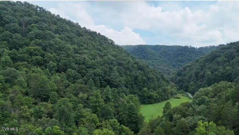 Property Photo: 0 Ford Branch Road VA 24244