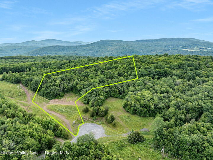 Property Photo: L35 Overlook NY 12452